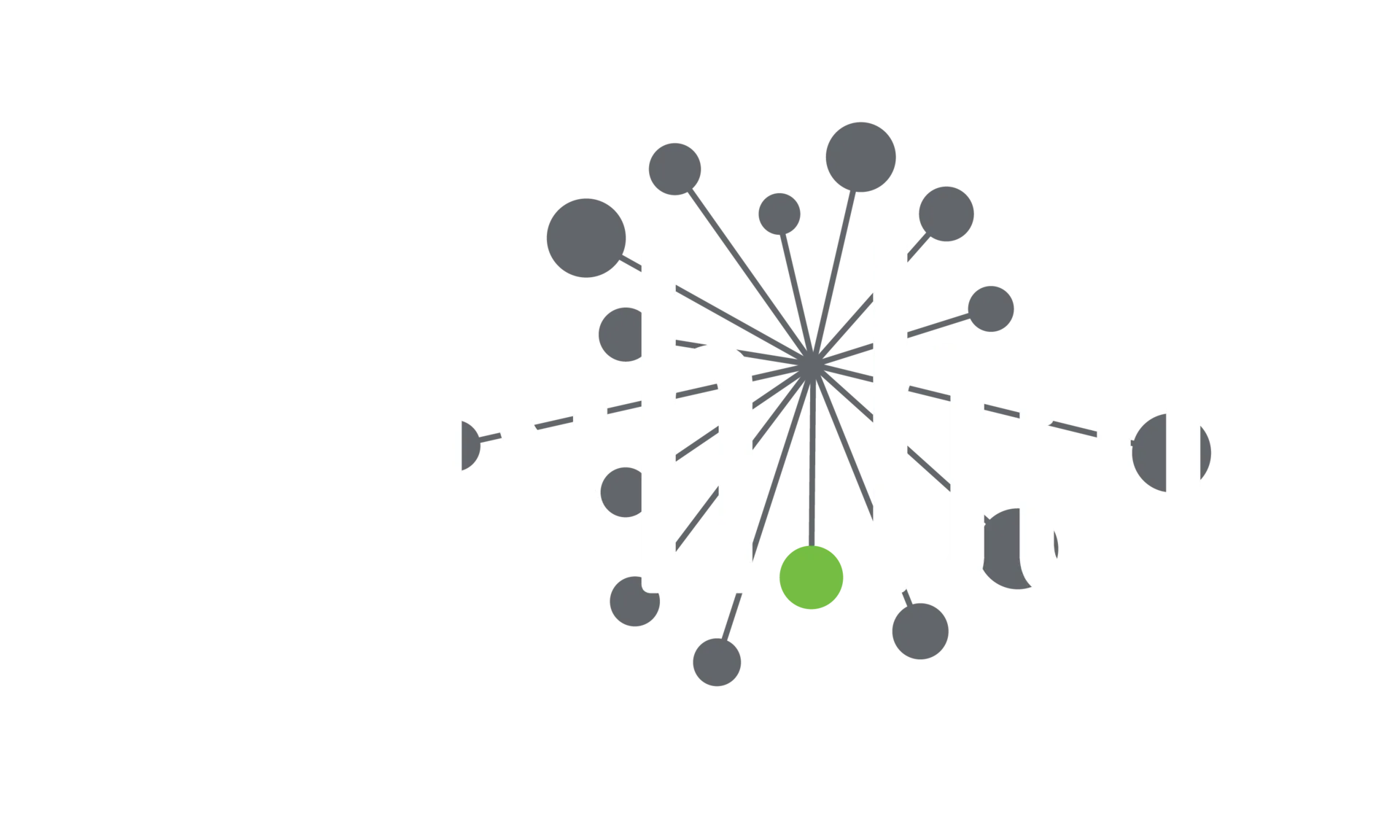 The Wash Bar